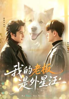 免费在线观看《我的老板是外星汪》