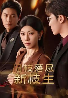 免费在线观看《旧枝落尽新枝生》