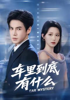 免费在线观看《车里到底有什么》